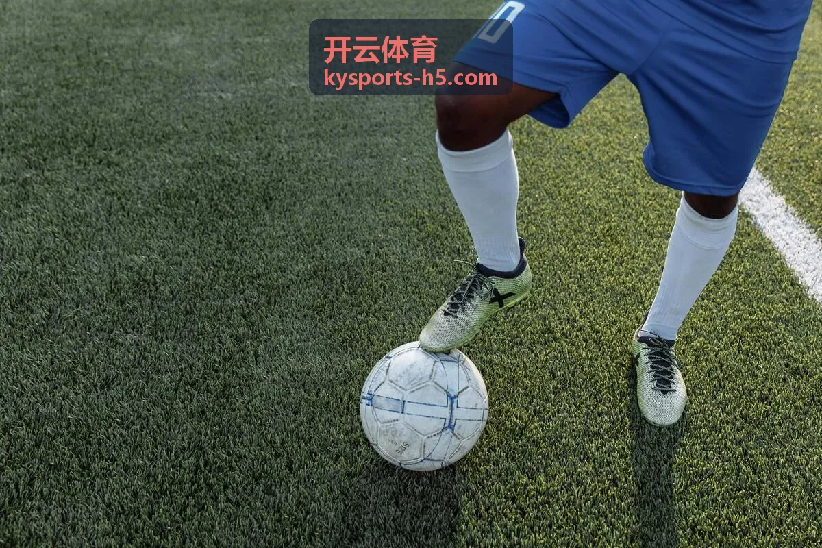 开云体育实时赔率界面